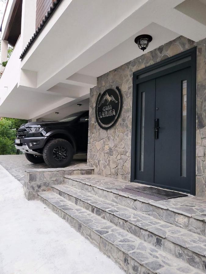 Casa Larisa Antonia Apartments Sinaia Exterior photo