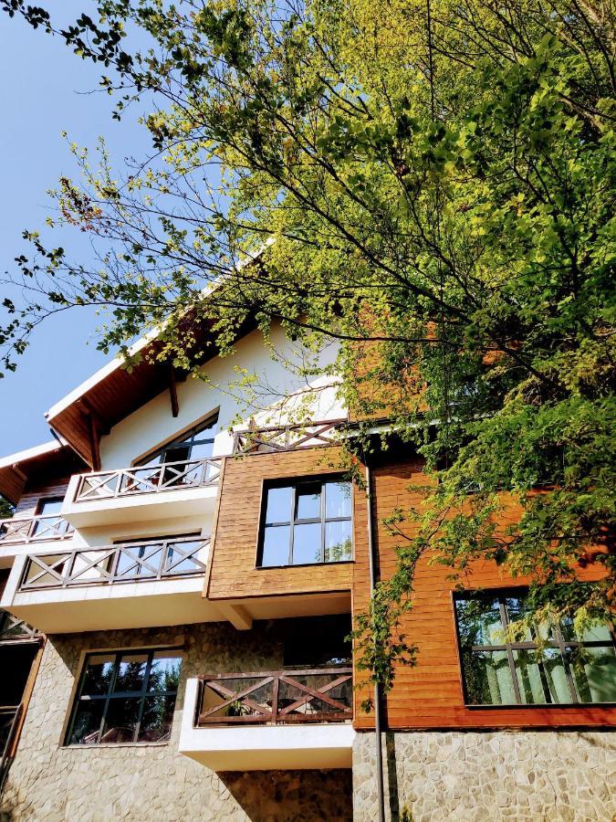 Casa Larisa Antonia Apartments Sinaia Exterior photo