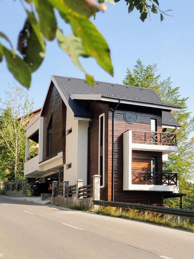 Casa Larisa Antonia Apartments Sinaia Exterior photo